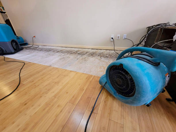 Professional Flood Damage Cleanup technician working in West Coxsackie, NY